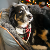 Σκύλος Bib Tartan Dreams Pet Bandana