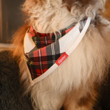 Σκύλος Bib Tartan Dreams Pet Bandana