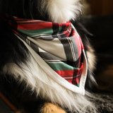 Σκύλος Bib Tartan Dreams Pet Bandana
