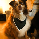Σκύλος Bib Πράσινη Κληρονομιά Pet Bandana