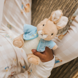 Μαλακό παιχνίδι Peter Rabbit