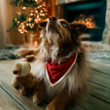 Σκύλος Bib Red Heritage Pet Bandana