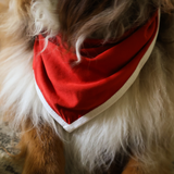Σκύλος Bib Red Heritage Pet Bandana