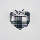 Σκύλος Bib Πράσινο ταρτάν Pet Bandana