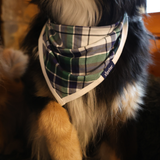 Σκύλος Bib Πράσινο ταρτάν Pet Bandana